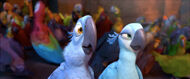 Blue-Parrots-Rio-the-Movie