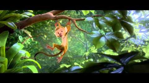 Discover the Forest with Rio 2
