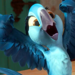 Main Characters In Rio And Rio 2 Rio Wiki Fandom