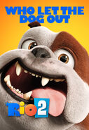 RIO2 Dog BS v6.0 web