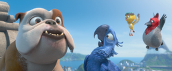 Rio 2 new commercial