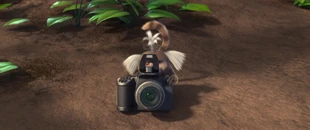 Mauro aparat.jpg (221 KB)