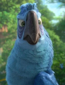 Eduardo 