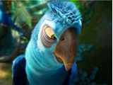 Eduardo
