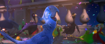 Dreamyblu blu scena rio 2