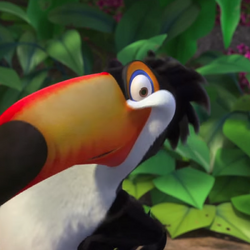 Rafael Gallery Rio Wiki Fandom Rafael Gallery Rio Wiki Fandom