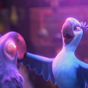 Hot Wings I Wanna Party Rio Wiki Fandom Halo] scandinavian bottles and granddaddy kush immaculate wardrobes, you had to look fox head furs from furlough, i'm double booked out of town with the. hot wings i wanna party rio wiki