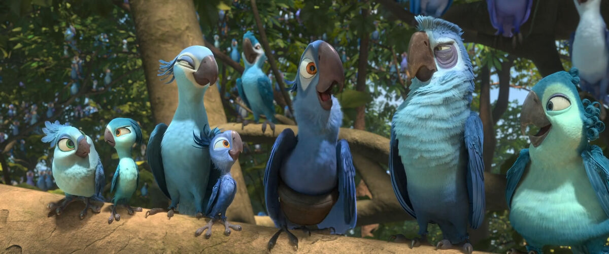 Spix's Macaw Tribe/Gallery | Rio Wiki | Fandom