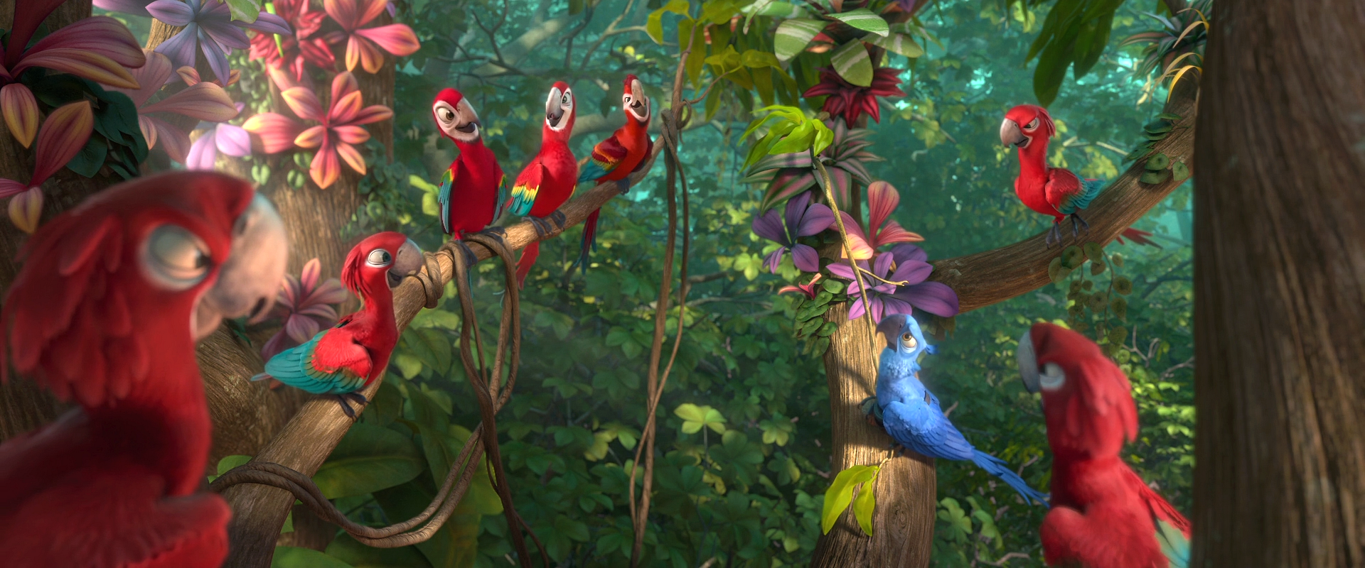 økologisk Sætte Ond Red Macaw Tribe | Rio Wiki | Fandom
