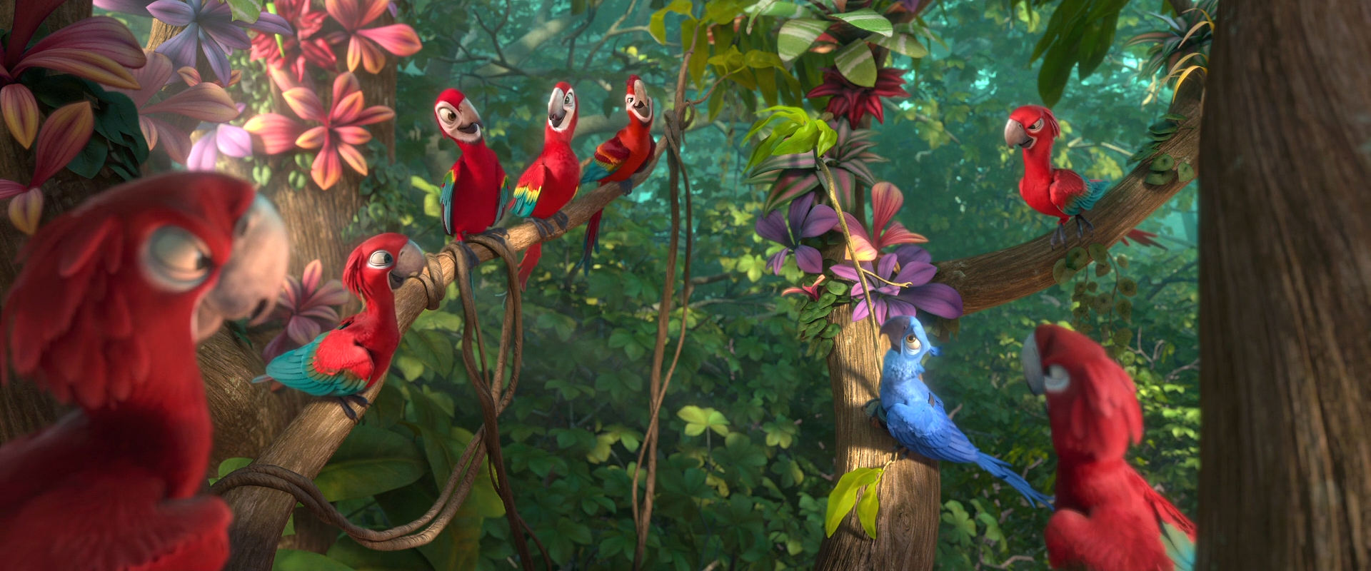 red and white bird rio 2