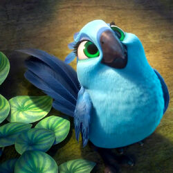 Main Characters In Rio And Rio 2 Rio Wiki Fandom