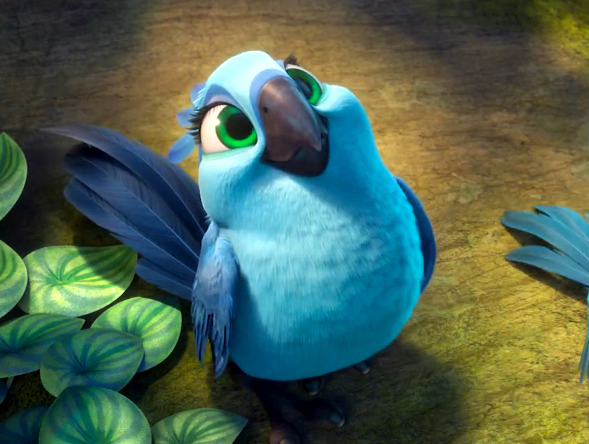 Fastest Rio 2 Baby Birds Names