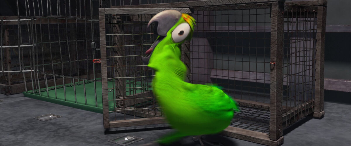 Neurotic Bird | Rio Wiki | Fandom