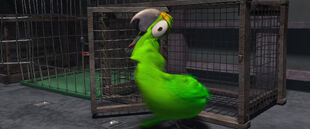 The Neurotic Bird dancing ecstatically as she escapes from her cage.