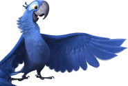 Rio2 bluuu