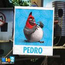 Pedro.