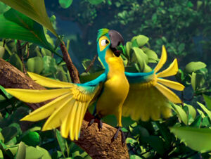 Blue-and-gold Macaw Rio Wiki | Fandom