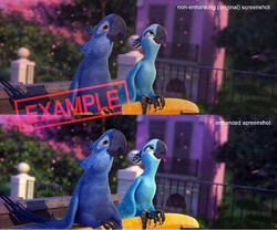 Section 1.3 paragraph 2