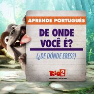 Rio 2 where are you from