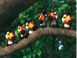 Toucan Kids