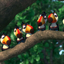 Toucan Family Rio Wiki Fandom Toucan Family Rio Wiki Fandom