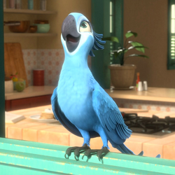 Category:Characters | Rio Wiki | Fandom
