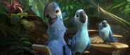 Rio 2 Blu Jewel Carla