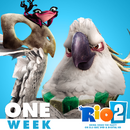 One Week left until Rio 2 hits DVD and Blu-Ray!