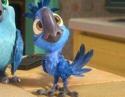 Tiago Wiki Rio Fandom Tiago Wiki Rio Fandom