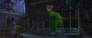 The Neurotic Bird caged in the Smuggler's Den.