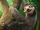Rapping Sloth