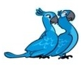 Jewel and Blu in Angry Birds Rio