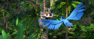 Rio 2 Forest