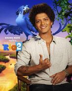 Rio 2 stars 2