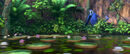 Discover the Forest with Rio 2 00 00 17 05 525