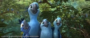 Rio 2 Jewel Tiago Bia and Carla.jpg (49 KB)