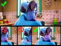 Section 1.3 paragraph 3