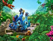 Rio 2 family grows