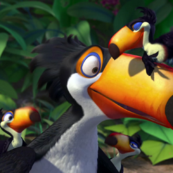 Rafael Gallery Rio Wiki Fandom Rafael Gallery Rio Wiki Fandom