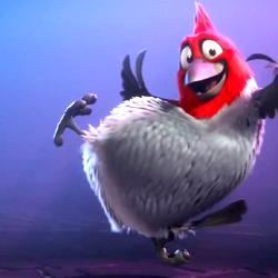 Main Characters In Rio And Rio 2 Rio Wiki Fandom Main Characters In Rio And Rio 2 Rio Wiki Fandom