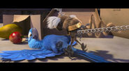 Mauro being yanked away from Blu by Jewel’s side of the chain during the Samba Club Fight