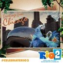 Greetings from Chicago