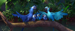 Families Of Rio And Rio 2 Rio Wiki Fandom