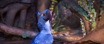 Sad moment blu scena rio 2