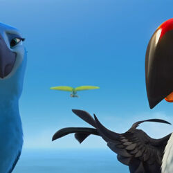Rafael Gallery Rio Wiki Fandom Rafael Gallery Rio Wiki Fandom