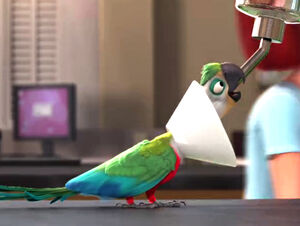 Mainpage-Navmap-Thumb-Crimson-bellied-Parakeet-(movie)