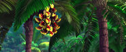 Rio (movie) wallpaper - Black Mandibled Toucans