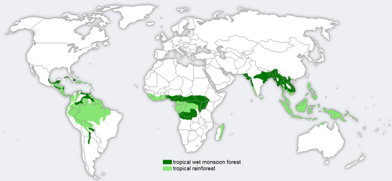 Map Of Jungles In The World Rainforest | Rio Wiki | Fandom