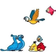 Some of the bird's you play as and free in Angry Birds Rio