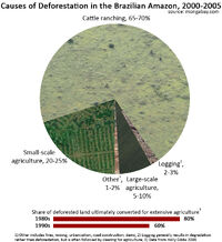 Causes-of-amazon-deforestation